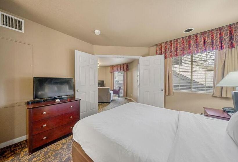 套房, The 505 Collection