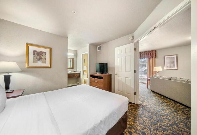 套房, The 505 Collection