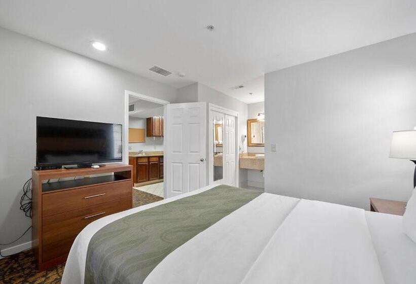 套房, The 505 Collection