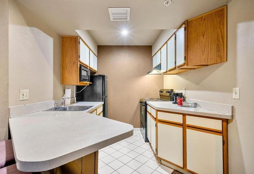 标准工作室, The 505 Collection