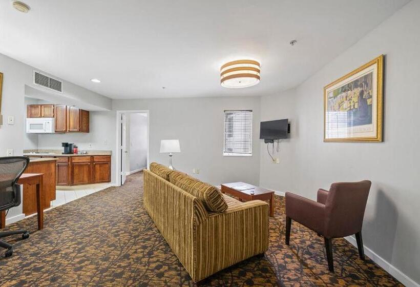 标准工作室, The 505 Collection