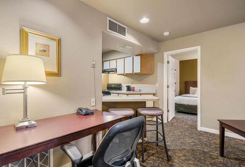 标准工作室, The 505 Collection