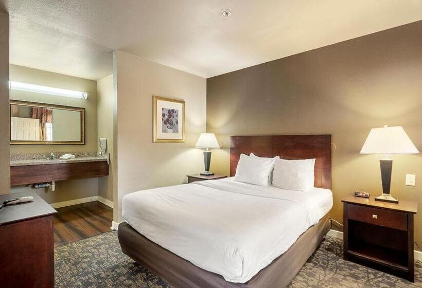 标准工作室, The 505 Collection