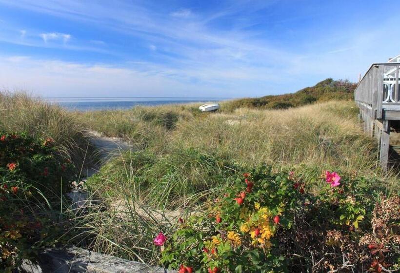 サイドオーシャンビュースタンダードルーム, Chatham Tides