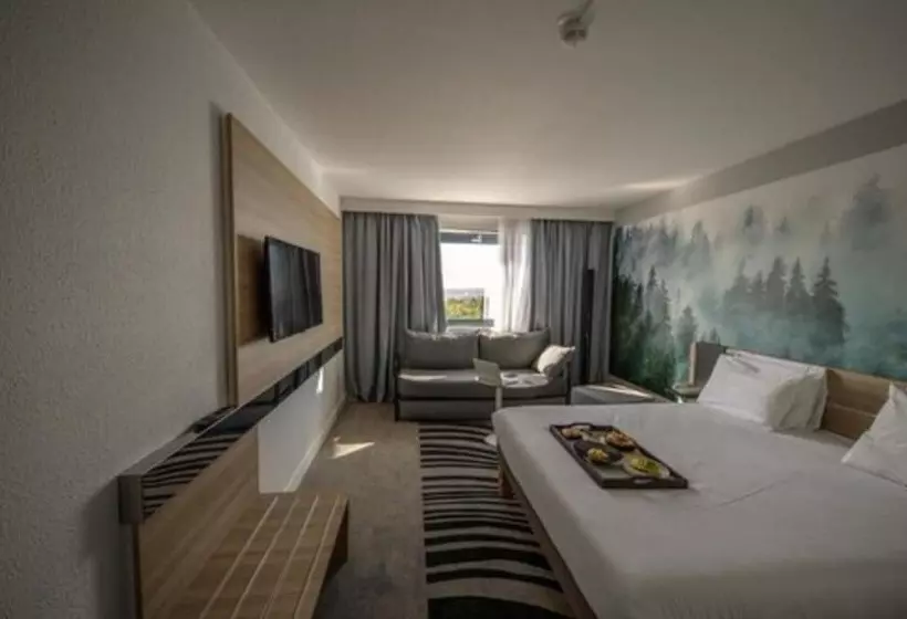 スーペリアールーム, Novotel Marne La Vallee Noisy Le Grand