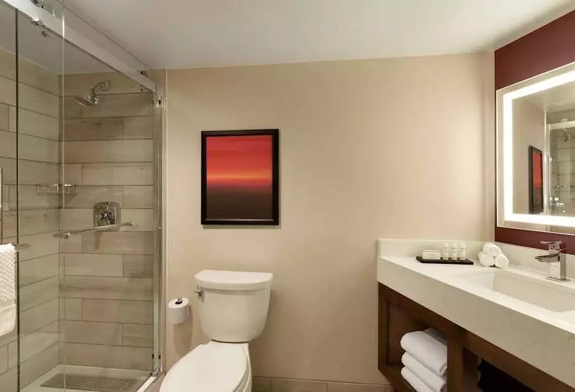 استودیوی استاندارد با تخت دوبل, Embassy Suites By Hilton Phoenix Downtown North
