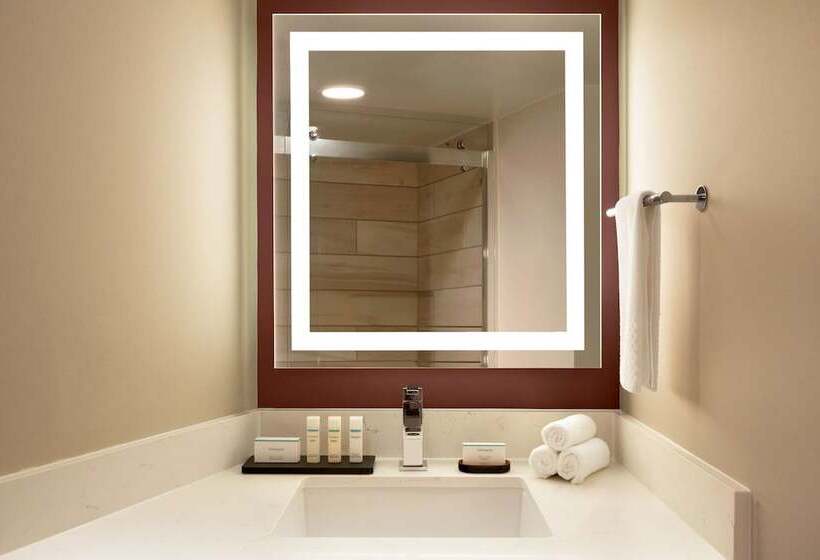 استودیوی استاندارد با تخت دوبل, Embassy Suites By Hilton Phoenix Downtown North