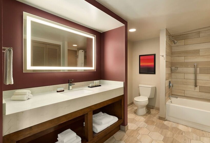 سوییت, Embassy Suites By Hilton Phoenix Downtown North