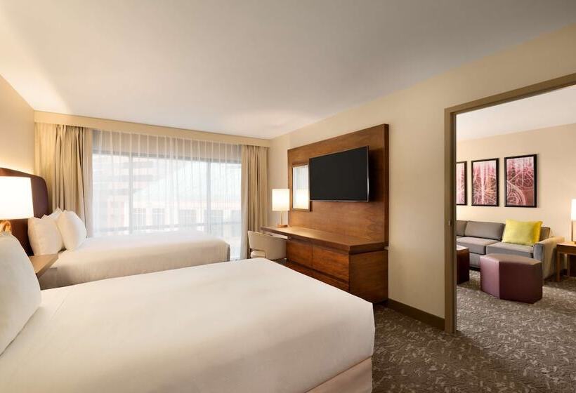 Люкс Адаптированный для Инвалидов, Embassy Suites By Hilton Phoenix Downtown North