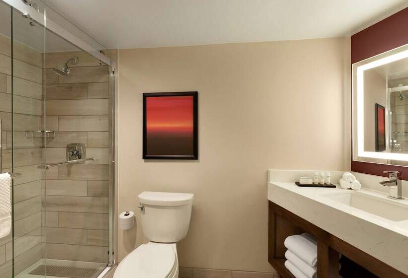 سوئیت برای معلولان, Embassy Suites By Hilton Phoenix Downtown North