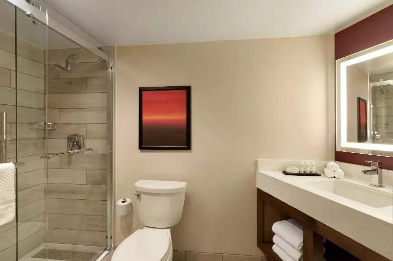 سوئیت با تخت بزرگ, Embassy Suites By Hilton Phoenix Downtown North