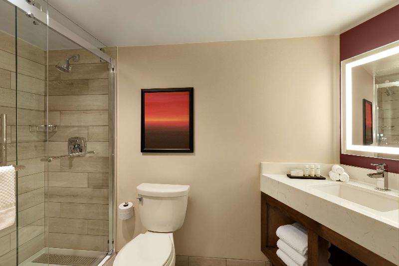 استودیو استاندارد با تخت کینگ, Embassy Suites By Hilton Phoenix Downtown North