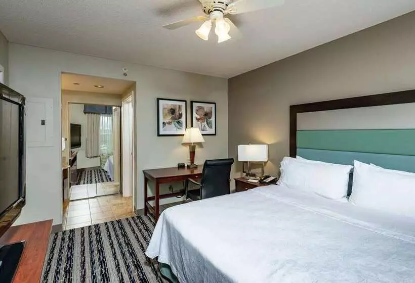 سوییت, Embassy Suites By Hilton Phoenix Downtown North