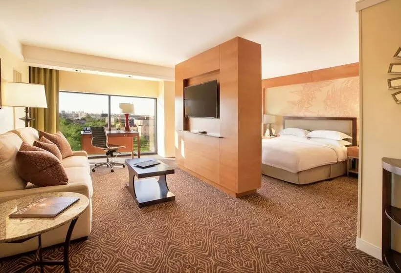 身障者適用ダブルベッド付きスタンダードルーム, Hilton University Of Houston