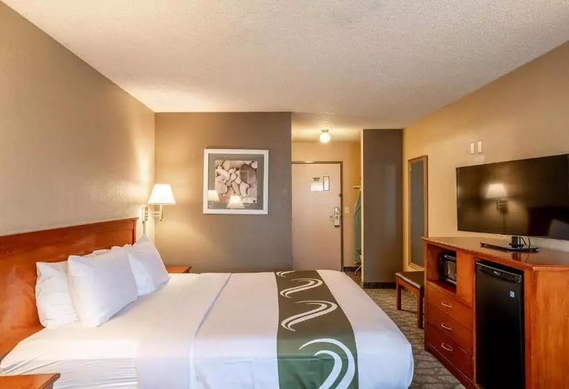 اتاق استاندارد با تخت بزرگ, Spark By Hilton Modesto