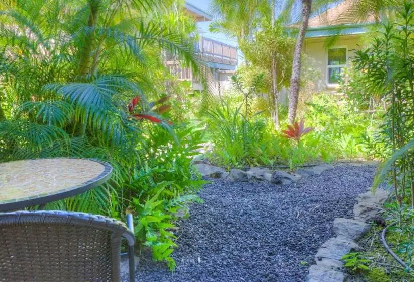 キングサイズベッドのスタンダードルーム, Kohea Kai Hotel Maui