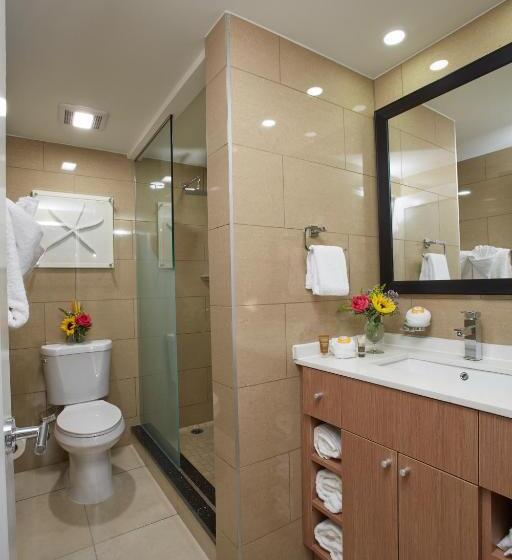 استودیوی استاندارد, Divi Dutch Village Beach Resort