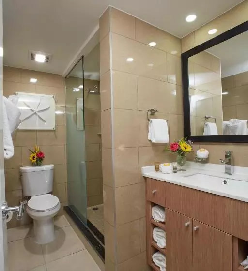استودیوی استاندارد, Divi Dutch Village Beach Resort