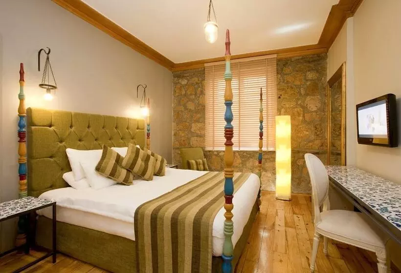 اتاق لوکس, Alp Pasa Hotel   Special Class