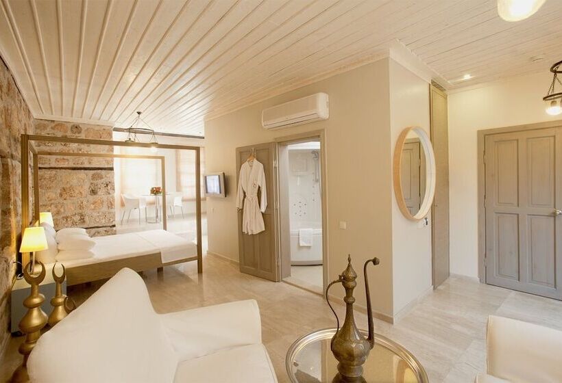 اتاق لوکس, Alp Pasa Hotel   Special Class