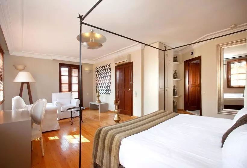اتاق لوکس, Alp Pasa Hotel   Special Class
