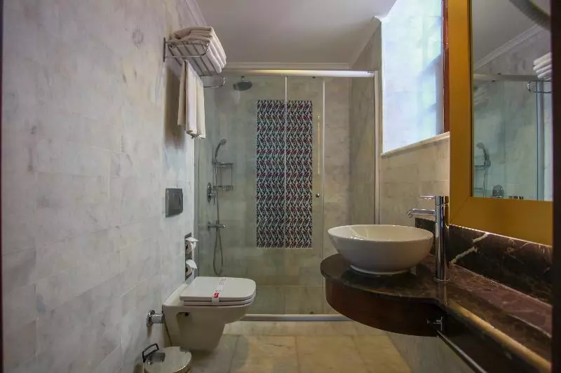 اتاق استاندارد, Alp Pasa Hotel   Special Class