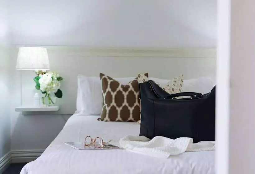 1 Yatak Odalı Daire, Collins