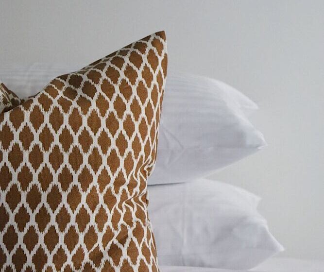 דירת חדר, Collins