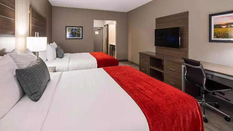 آپارتمان اکونومی 1 خوابه, Graham Apartments