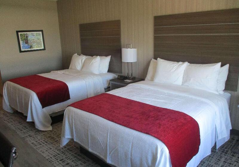 1ベッドルームエコノミーアパートメント, Graham Apartments