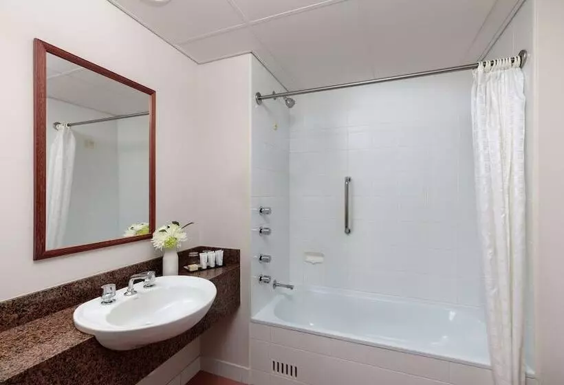 スタンダードルーム, Rydges Bankstown