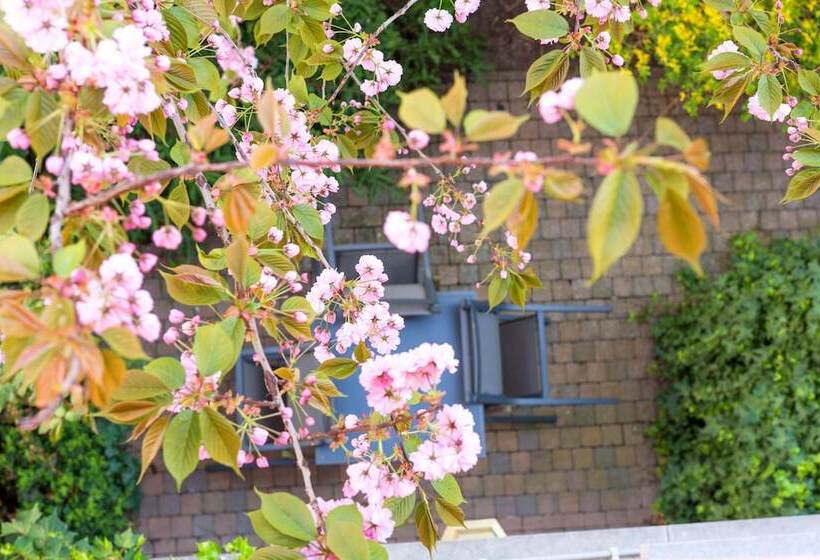 اتاق لوکس با تراس, Rubensgrote Markt
