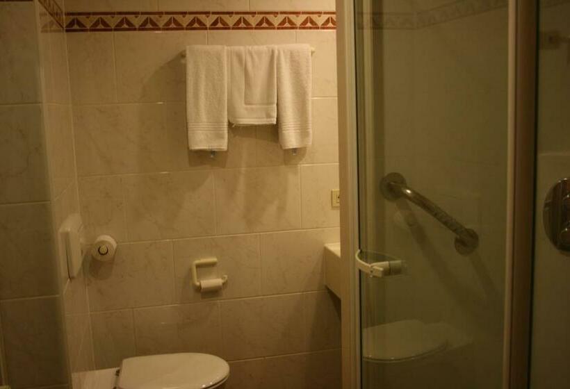 스탠다드 싱글 룸, Shamrock