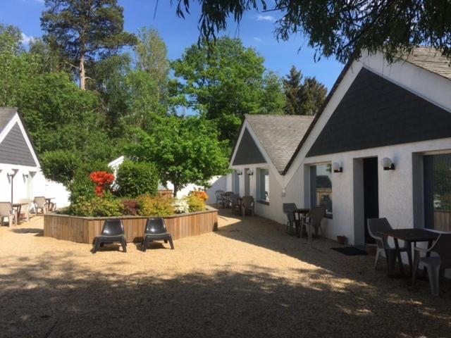 Номер Стандарт, Tropical