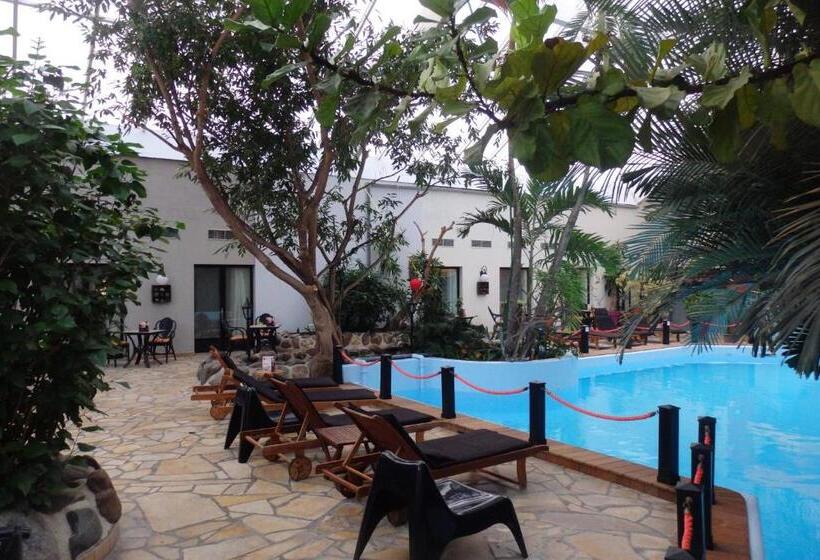 Номер Стандарт Вид на Бассейн, Tropical