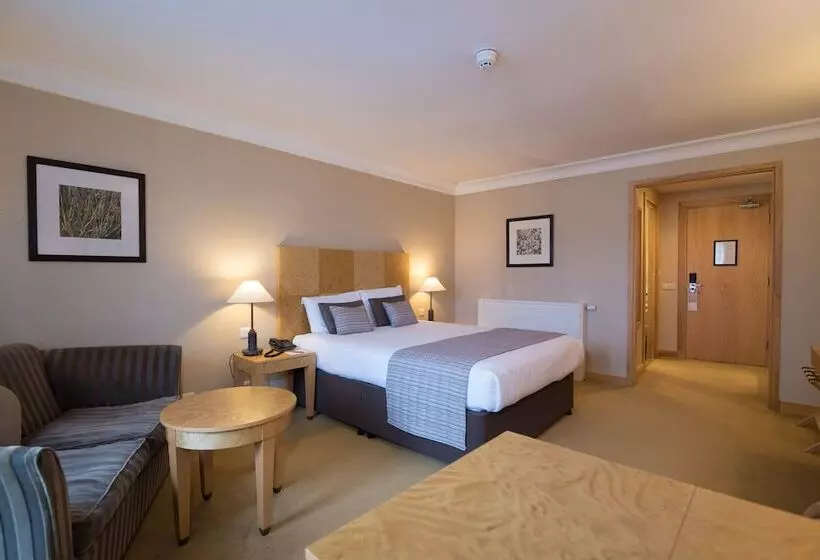 Standard-huone, Regency Park Hotel, Health Club & Spa