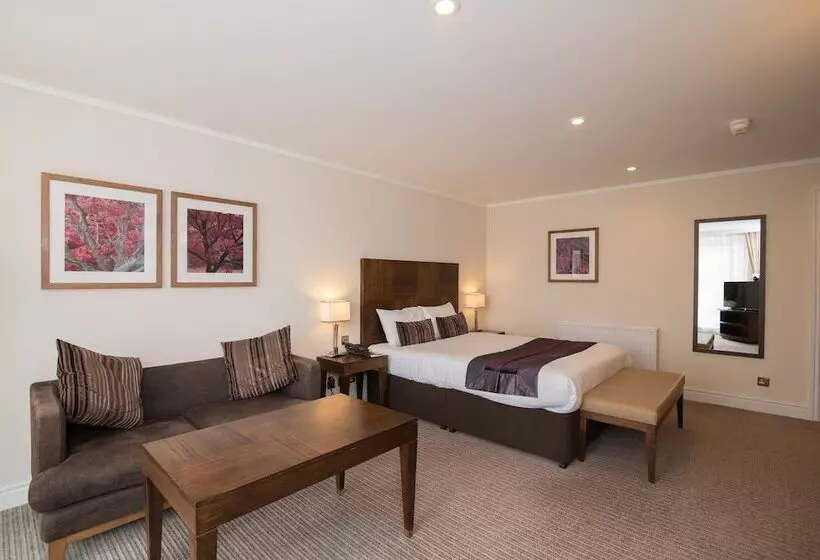 Executive-huone, Regency Park Hotel, Health Club & Spa