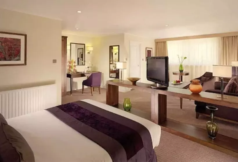 Deluxe-huone, Regency Park Hotel, Health Club & Spa