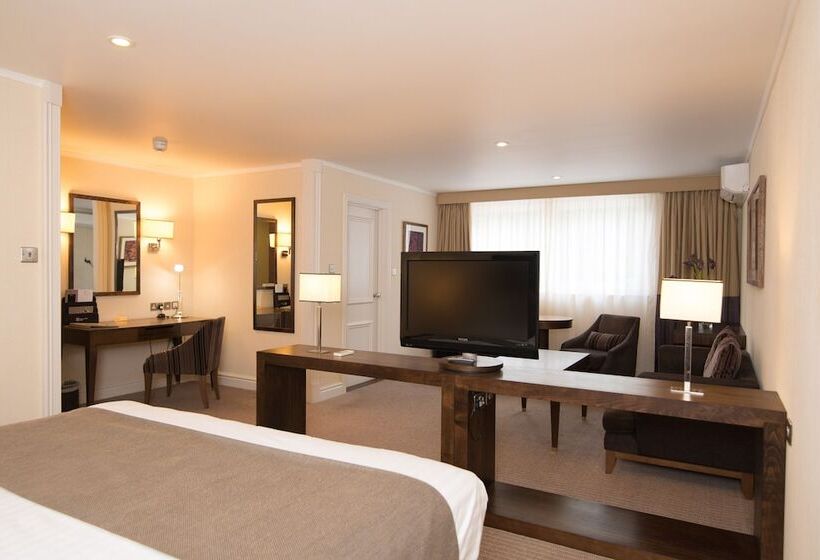 Номер Deluxe, Regency Park Hotel, Health Club & Spa