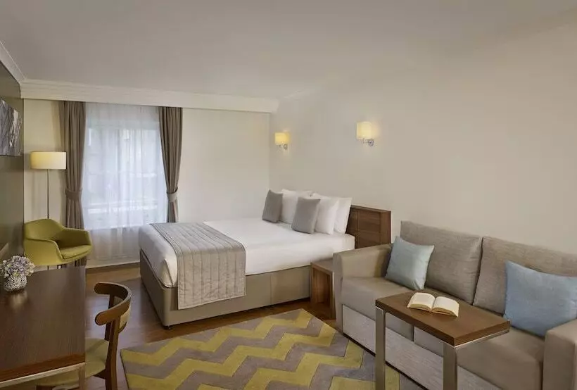 デラックススタジオ, Citadines South Kensington London