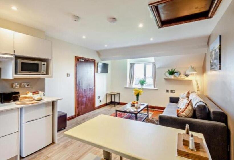 آپارتمان 1 خوابه با چشم‌انداز باغ, Lion Hotel & Studio Apartments
