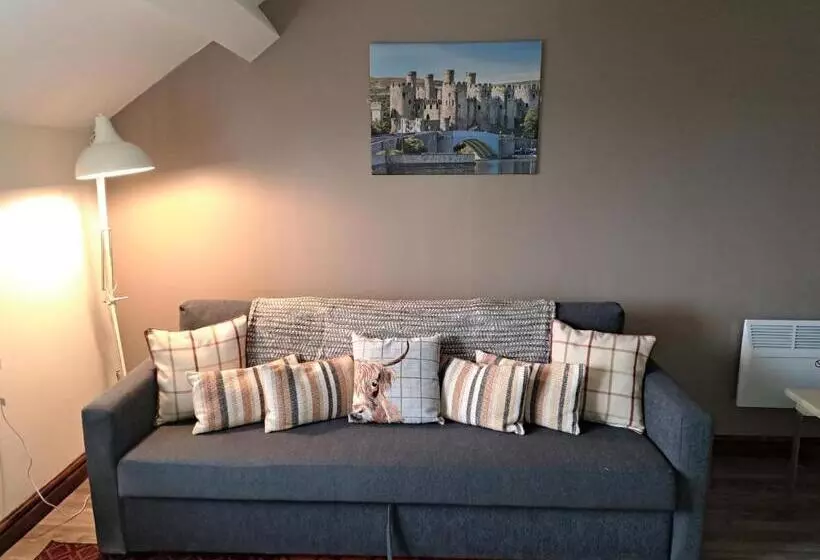 استودیوی لوکس, Lion Hotel & Studio Apartments