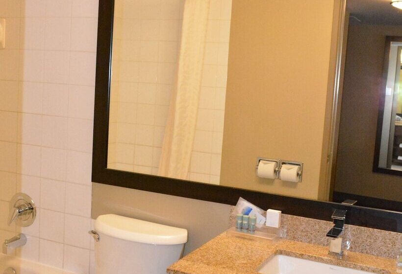 غرفه قياسيه سريرين مزدوجين, Best Western Terrace Inn