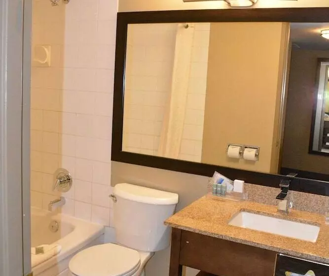اتاق استاندارد با 2 تخت دوبل, Best Western Terrace Inn