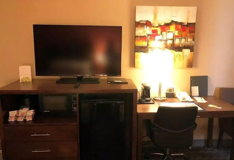 سوییت, Best Western Terrace Inn