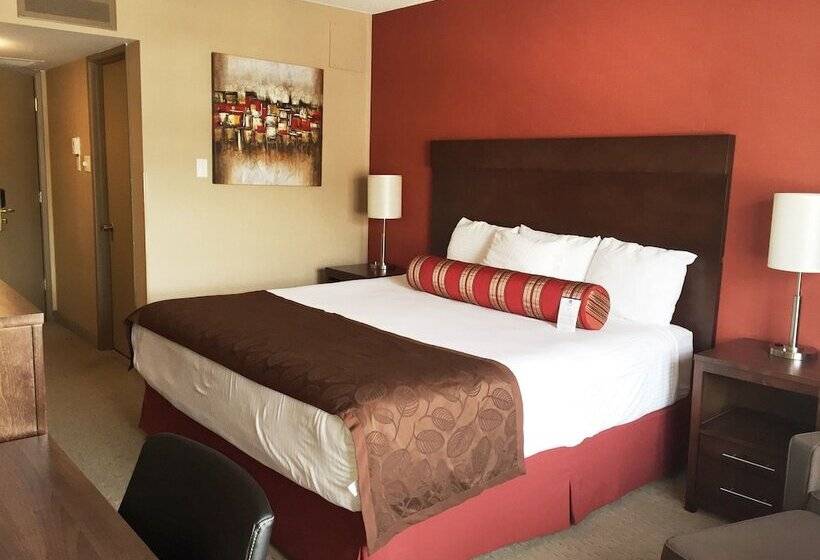 غرفة قياسية سرير مزدوج, Best Western Terrace Inn