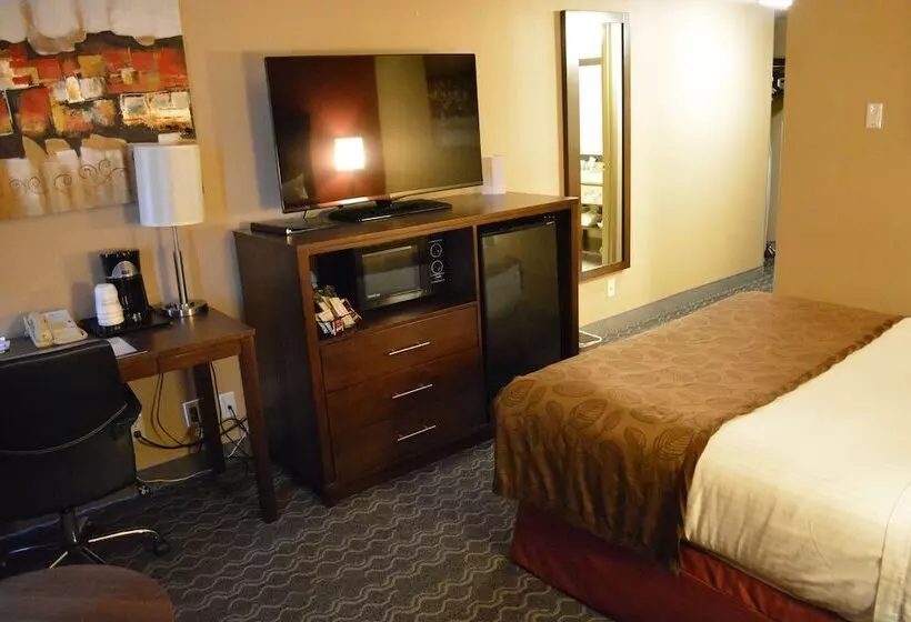 اتاق استاندارد با تخت دوبل, Best Western Terrace Inn