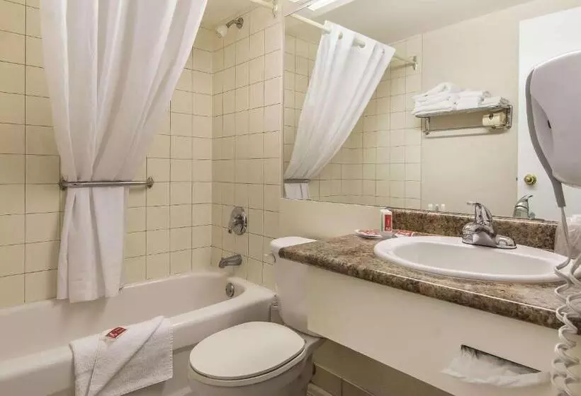 Standard-huone King-vuode, Econo Lodge