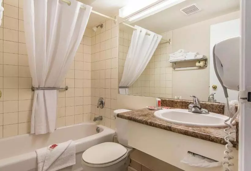 Standard-huone Pohjakerros, Econo Lodge