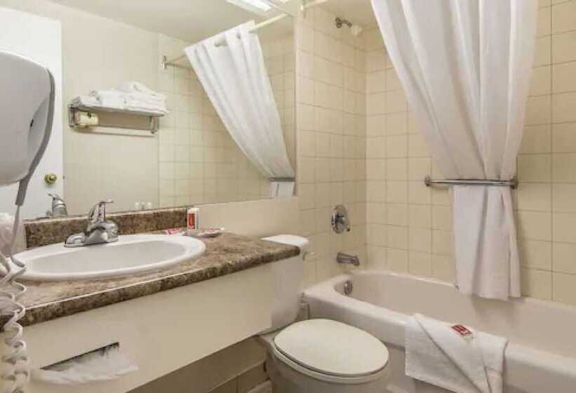 Standard Szoba 2 Franciaággyal, Econo Lodge